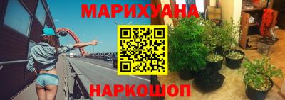 бошки Абакан